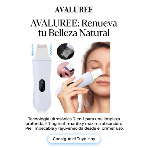 Limpiador ultrasonico